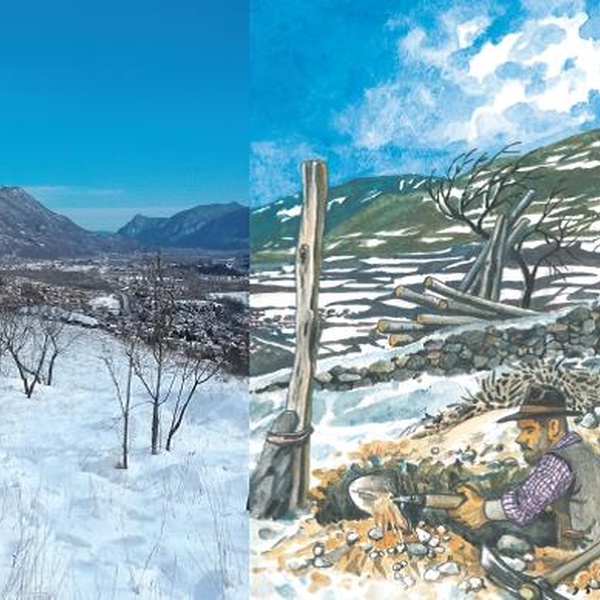 Vignobles anciens à Piancolore