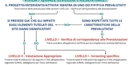 Schema processo