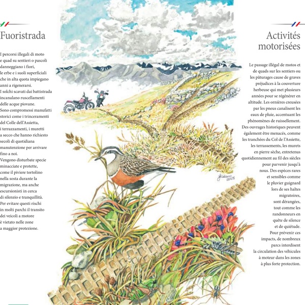 Percorsi fuoristrada