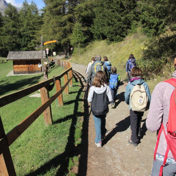 L\u0027entrée du Parc Naturel du Grand Bois de Salbertrand à Ser Blanc. Les routes dans cette partie de la zone protégée font partie du réseau routier ordinaire, mais la circulation des véhicules motorisés y est interdite car elles se trouvent à l\u0027intérieur du parc.
