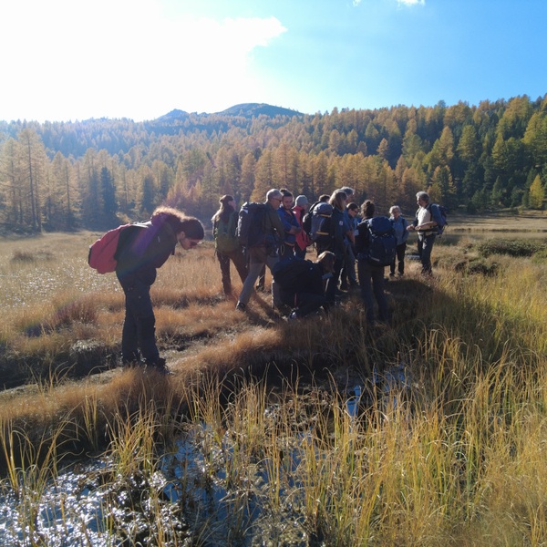 The observation of the ecological specificities recorded on the shores of Lake Clot Foiron.