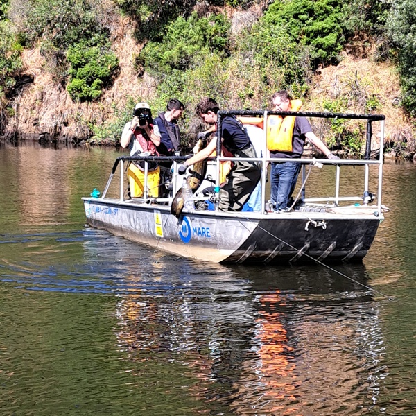 A phase of the fishing session for catfish.
