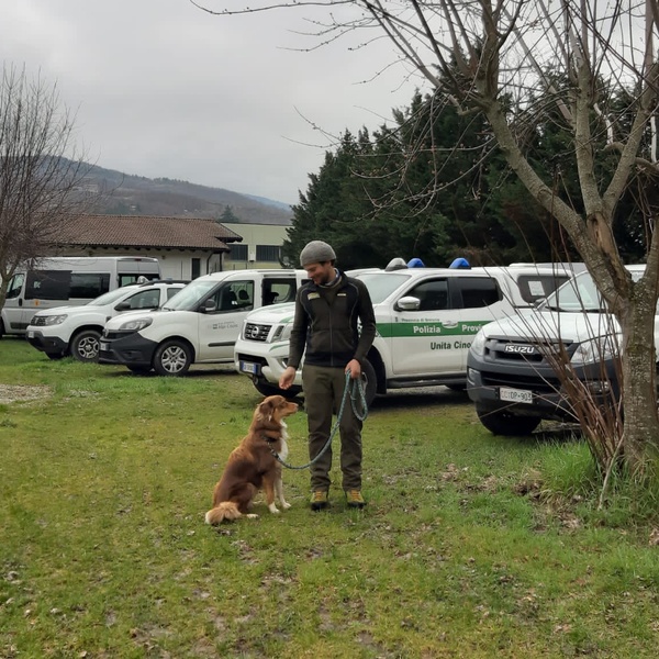 Il guardiaparco Lorenzo Brino con il suo cane Maia durante una formazione per diventare Unità Cinofila Antiveleno.