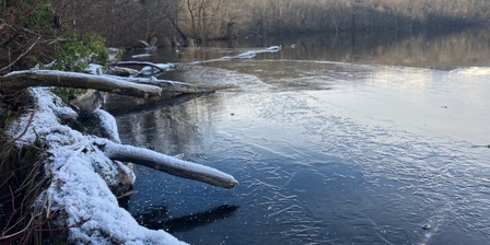 Giovedì 8 gennaio 2026. Al culmine dell\u0027ondata di freddo si registra una scarsa presenza di ghiaccio sul Lago Piccolo di Avigliana.