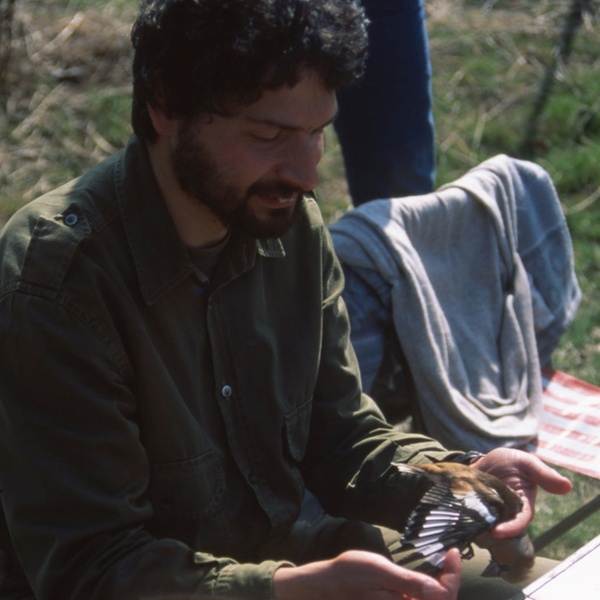 Bruno Frache durante una sessione di inanellamento nel 1997.