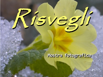 mostra