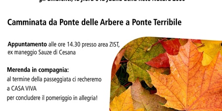 Locandina evento