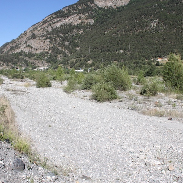 Area di studio nella piana alluvionale tra Salbertrand e Oulx