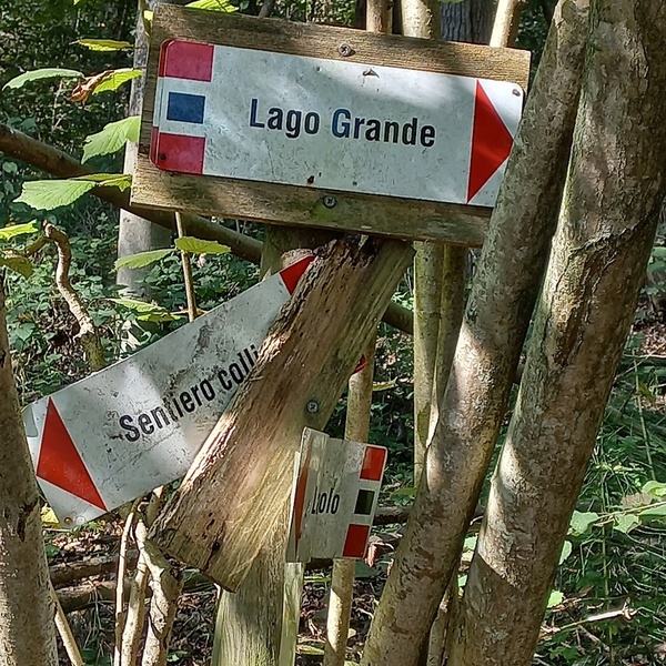 Segnaletica \u002D \u003Ci\u003ELe fil d\u0027Ariane\u003C/i\u003E