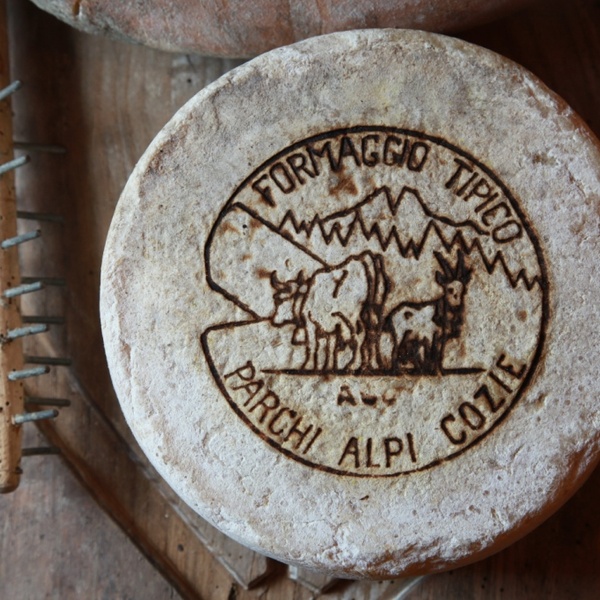 Formaggio tipico Parchi Alpi Cozie