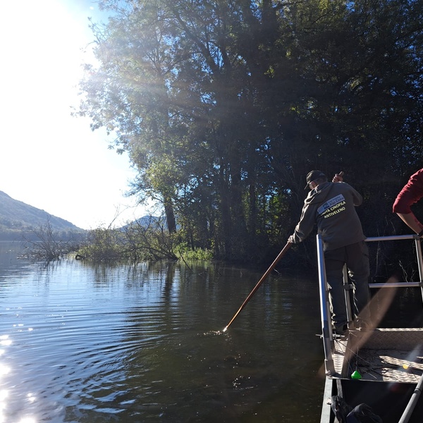 Une phase de pêche à l\u0027électricité.