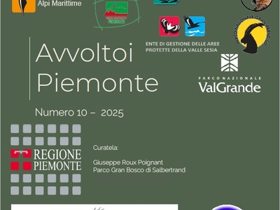 Avvoltoi Piemonte\u002D copertina