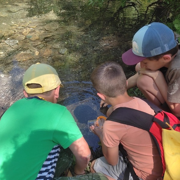 Educazione ambientale