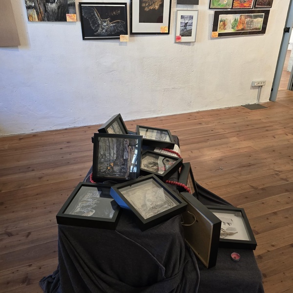 Messaggi silvani \u002D mostra d\u0027arte al Forte di Exilles