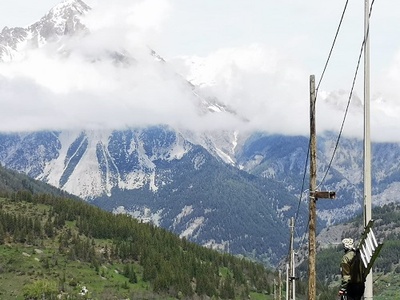 Pulizia cassette nido passera lagia \u002D Foto Silvia Alberti