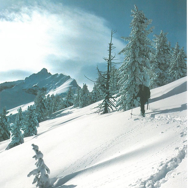 Guardiaparco durante un pattugliamento