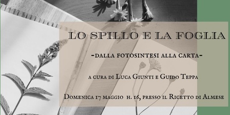 Locandina evento 17 maggio\u002D Parchi Alpi Cozie