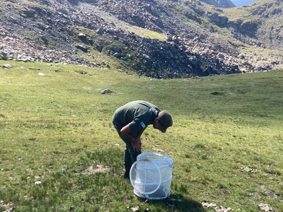 Il monitoraggio degli ortotteri con il tubo di cattura.