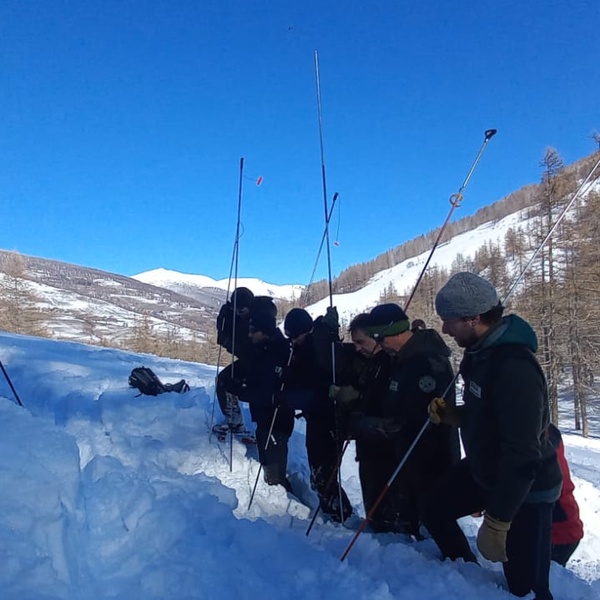 Park rangers engaged in an exercise on the use of Artva, probe, and shovel.
