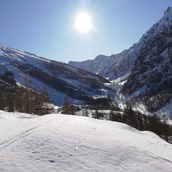 Inverno in Val Troncea