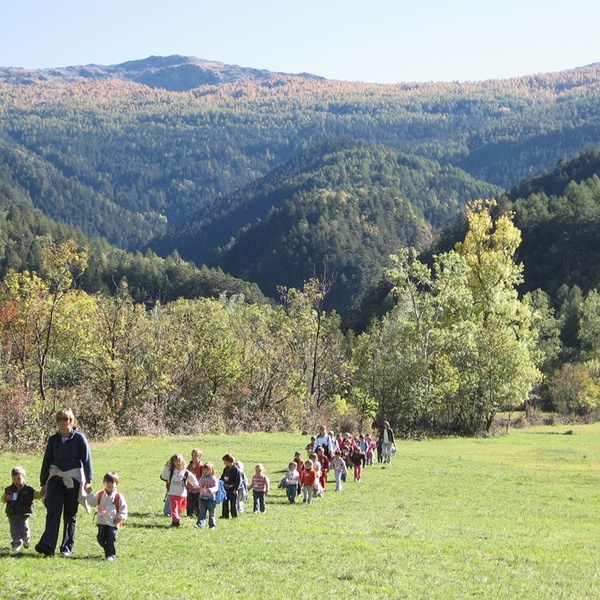 La scuola del bosco per piccoli lupi
