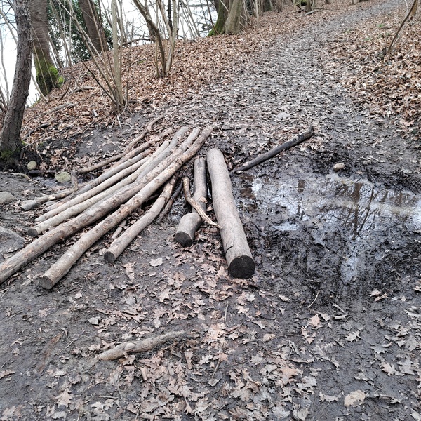 Una situazione di dissesto sul sentiero che costeggia il Lago Piccolo di Avigliana.