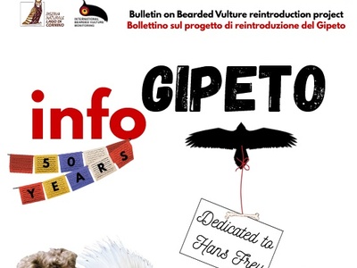 Copertina Info Gipeto n.39