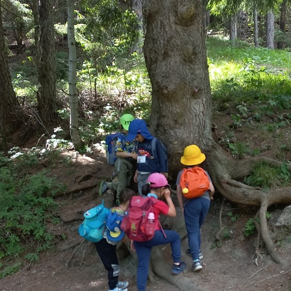 Apprendre à observer