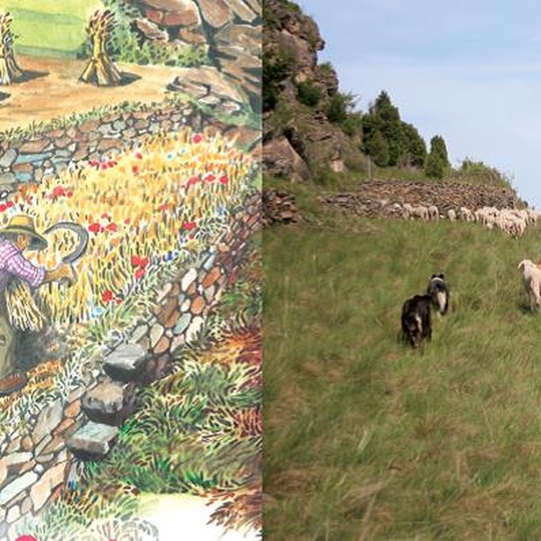 Utilisation des terrasses