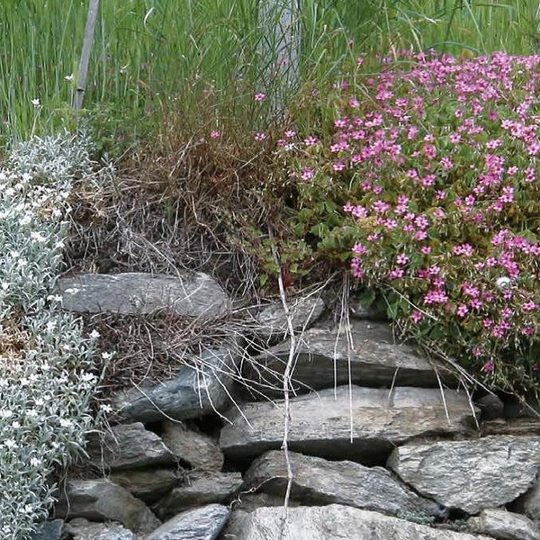 Muret en pierres sèches