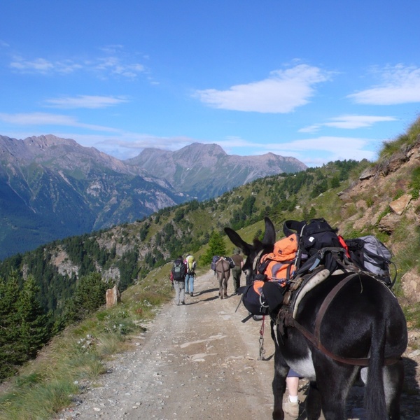 Immagine di archivio \u002D Trekking nei Parchi Alpi Cozie