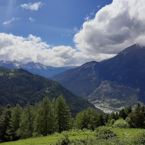 Veduta del Parco naturale del Gran Bosco di Salbertrand da Montagne Seu