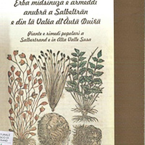 Erba midsinuza e armeddi anubra Salbelträn e din lä Valéa dl\u0027Àutä Duiřä \u002D Piante e rimedi popolari a Salbertrand e in Alta Valle di Susa \u002D cahier n°11