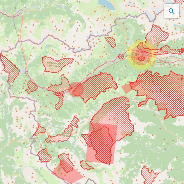 A detail from the D\u002DFlight maps showing the borders of the territories within the Protected Areas of the Cottian Alps (and not only), where drone flying is prohibited.