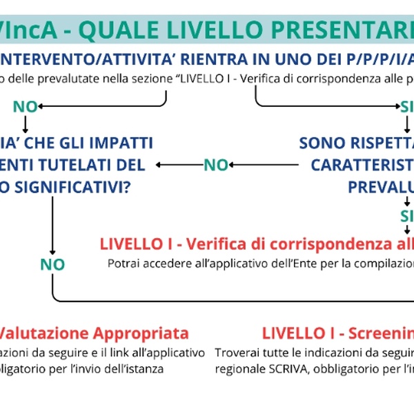 Schema processo