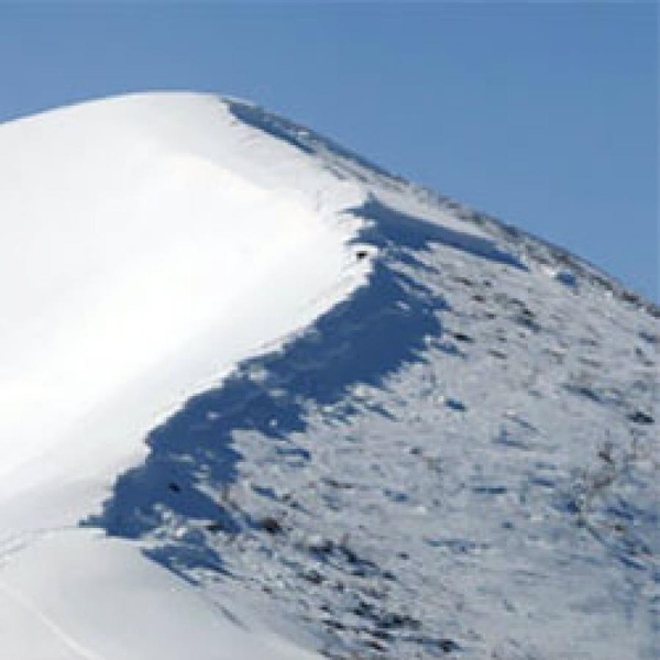 meteonivometrica