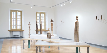 Cime di alberi e gambe di tavolo