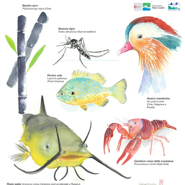 Laghi e corsi d\u0027acqua