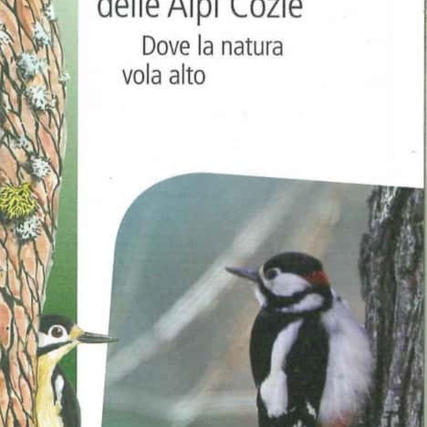 Pagina di esempio