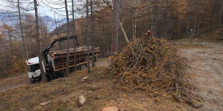 Cantiere Forestale nei Parchi Alpi Cozie