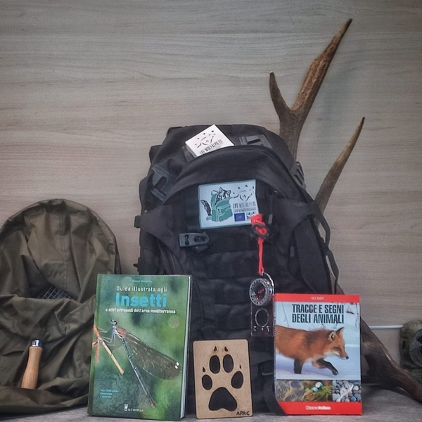 Contenuto dello Zaino