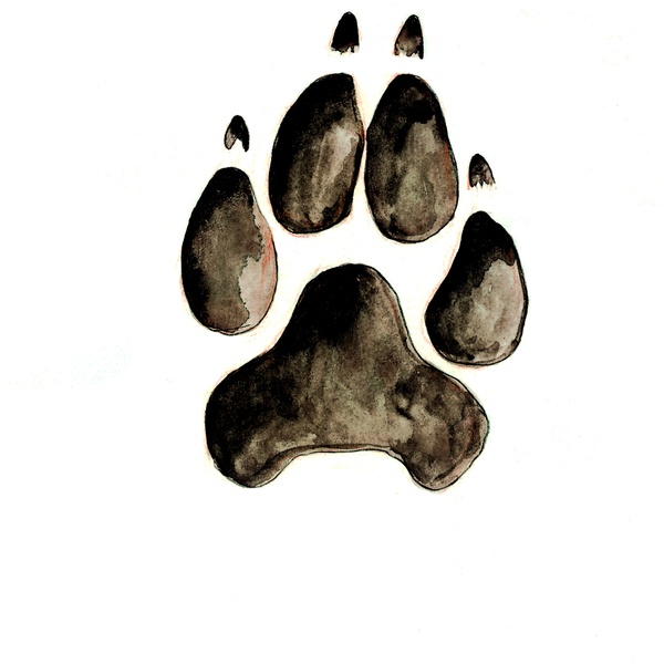 Acquerello di Elio Giuliano