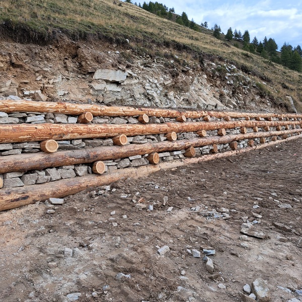 La palificata doppia a sostegno di un versante instabile.