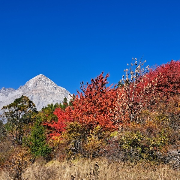 Autunno nella ZSC CHamplas Colle del Sestriere