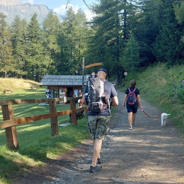 Un cane al guinzaglio presso il Punto Informativo di Ser Blanc, Parco Naturale del Gran Bosco di Salbertand.