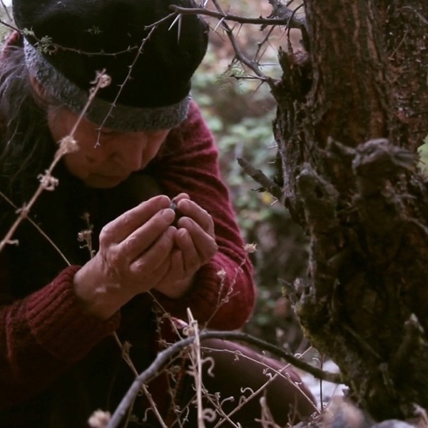 Open call – Partecipa alla realizzazione di un’opera d’arte di Cecilia Vicuña