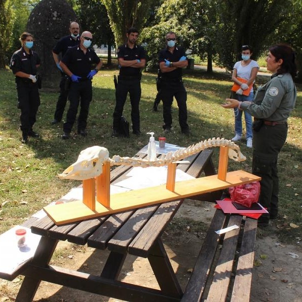 Formazione nuovi operatori per monitoraggio lupo (Azione A5)