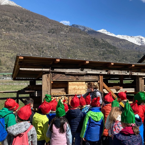 Tant de petits gnomes