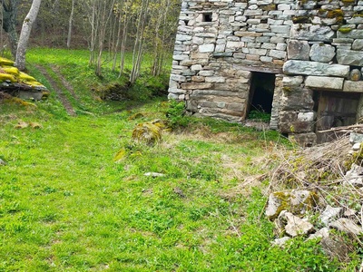 Uno scatto che testimonia lo stato di abbandono della mulattiera tra la Fontana della Gerpula e il Rifugio Amprimo.