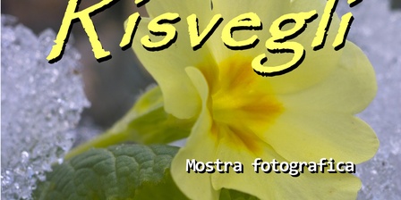 mostra
